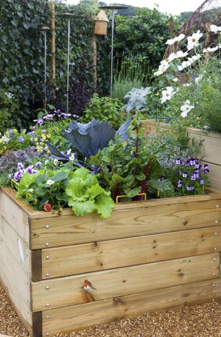 Small vegetable garden ideas with mixed crops and flowers in raised wooden beds.