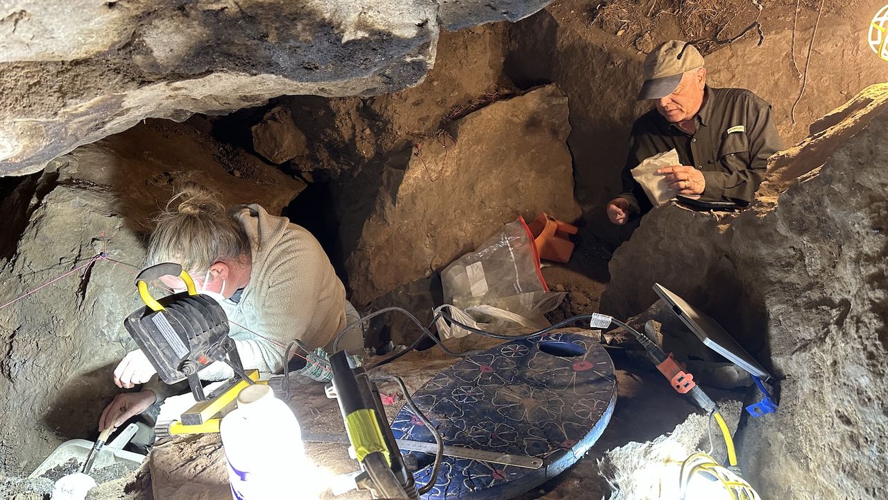 a group of people work at an excavation site in a cave