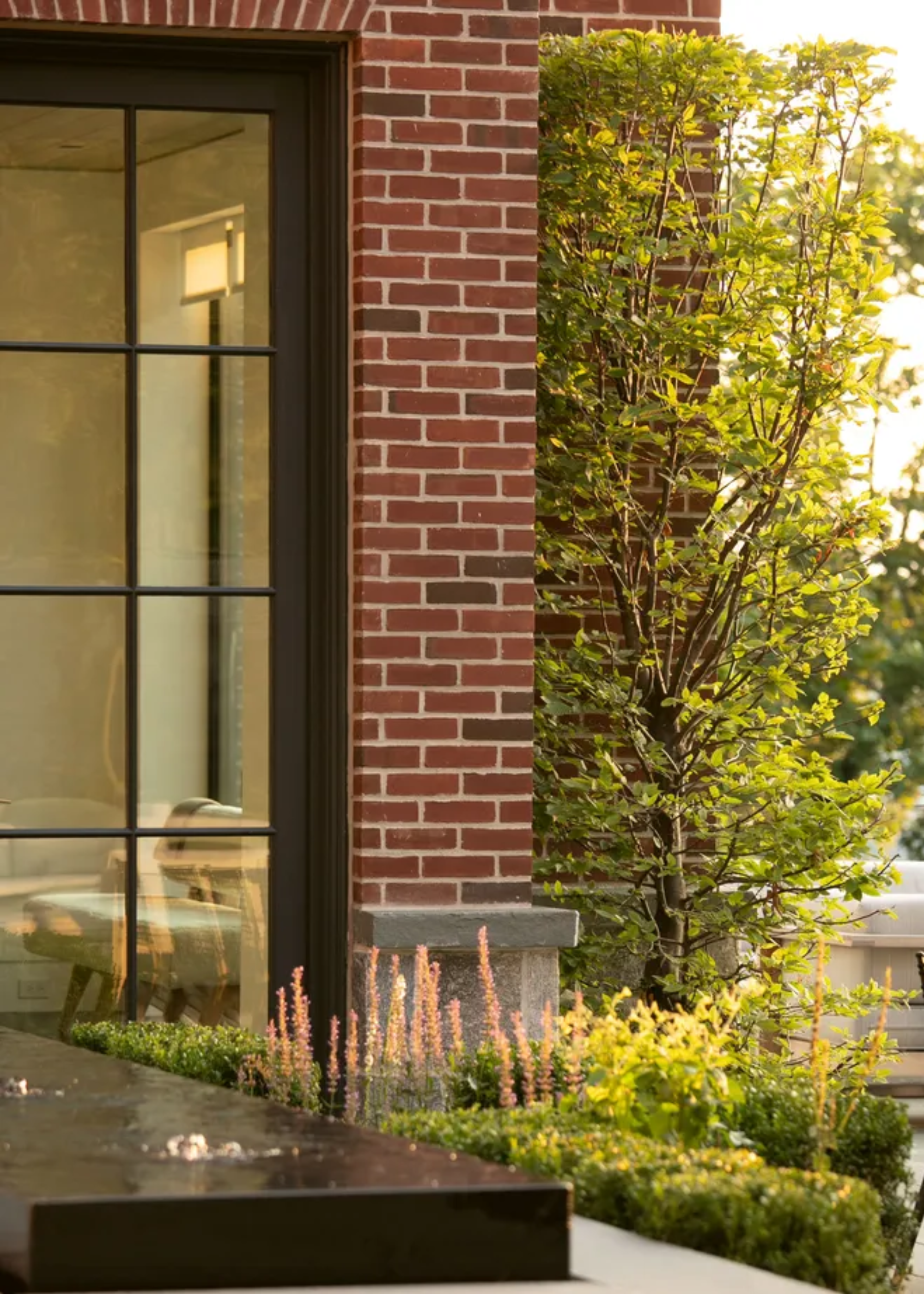 A garden with hedges, a tree and a rill in the backyard of a home