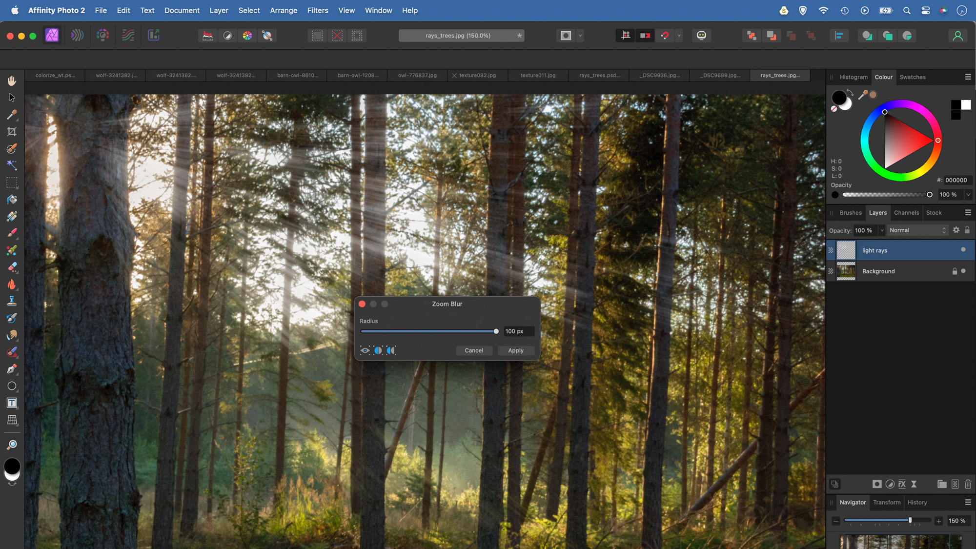A person editing a forest scene in Affinity Photo adding light rays