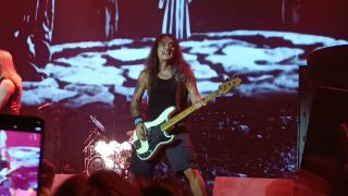 Steve Harris onstage in Budapest