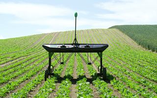 Robot Weeder