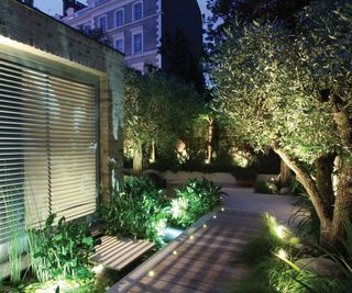 A contemporary town garden with trees uplit and a decking board pathway with recessed spotlights