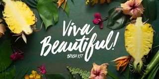 A sample of Viva Beautiful, one of the best pretty fonts