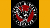 Velvet Revolver