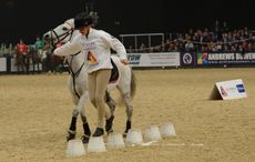 PonyClub_HOYS14pn_46515.jpg