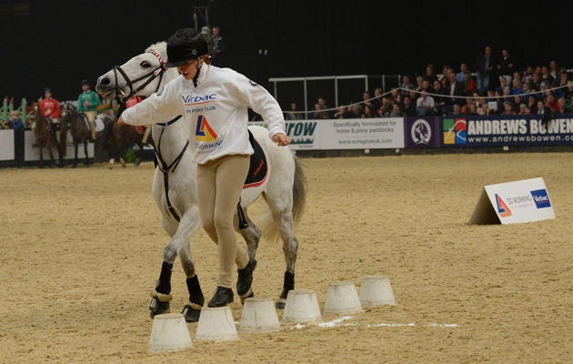 Warwickshire winners of the Pony Club Mounted Games - Prince Philip Cup at the Horse of the Year Show at the N. E. C. Birmingham, UK between 8th -12th October 2014 HOYS 12 10 2014MOUNTED GAMES