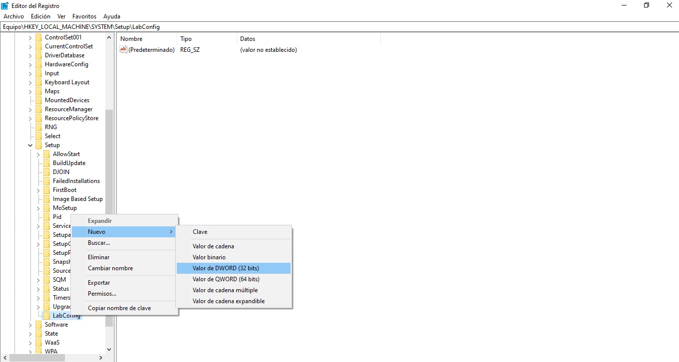 Crear un nuevo valor DWORD 32-bit dentro de LabConfig