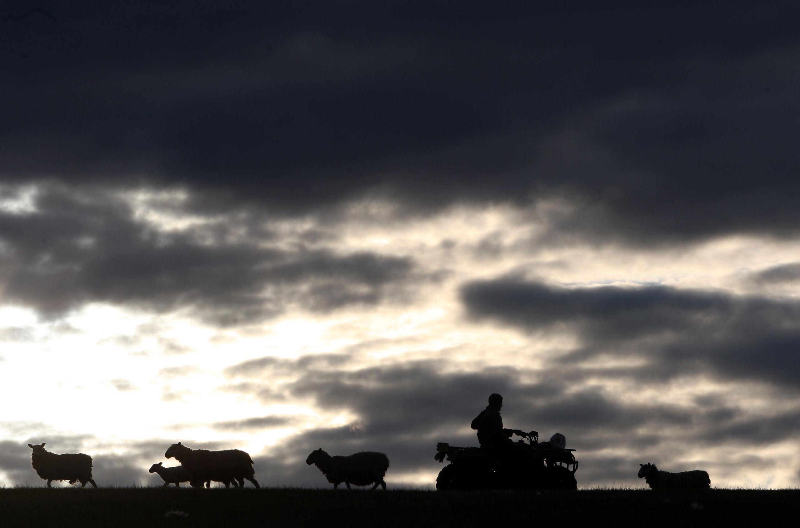 'I’m going to be the first in more than 100 years to sell anything off': How the upcoming budget uncertainty is impacting young farmers