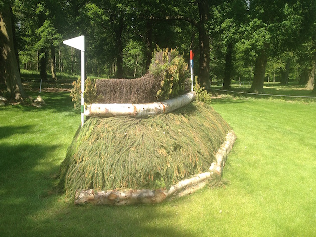Bramham2015CCI10
