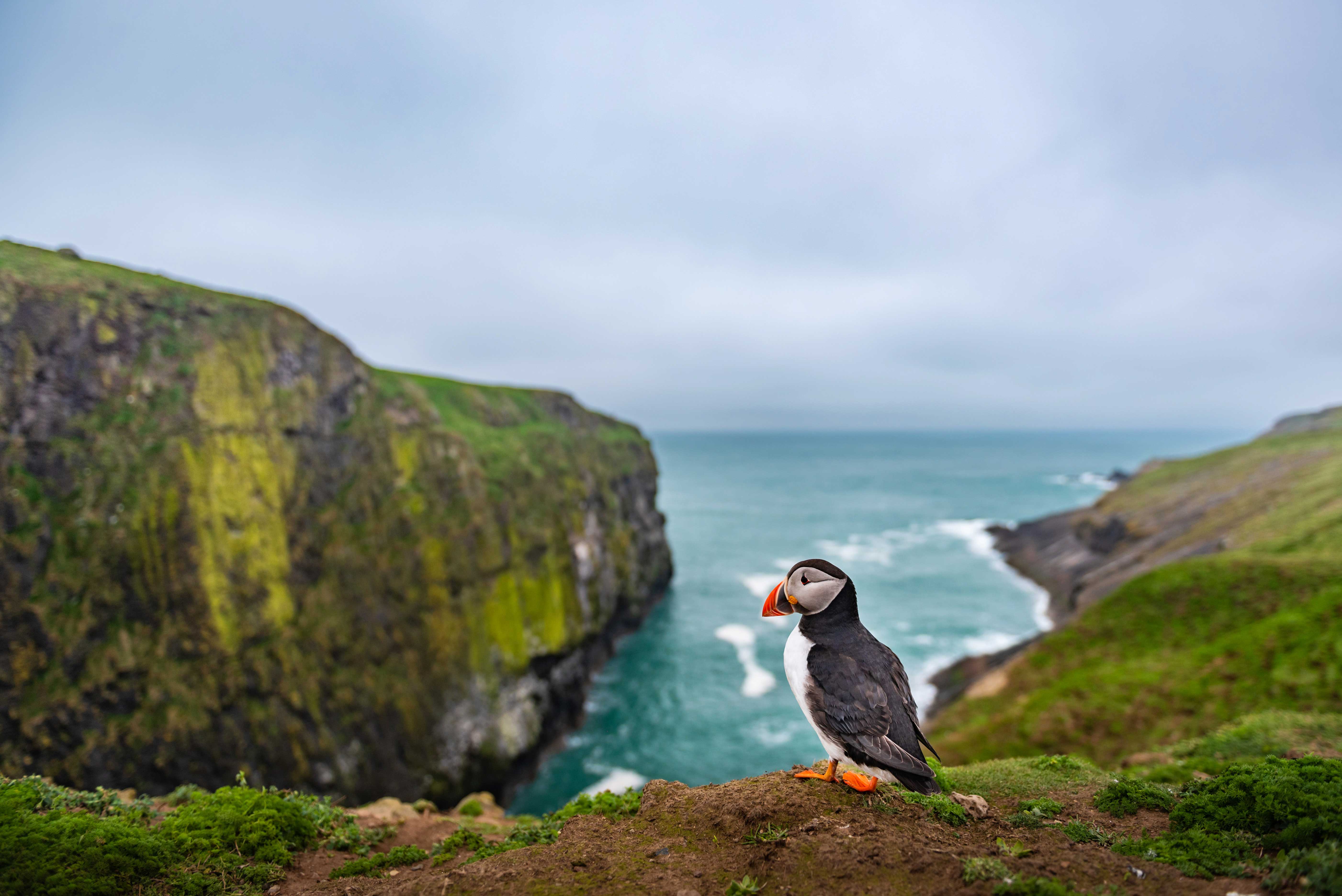 A day in the life of pro travel photographer and filmmaker Matthew ...