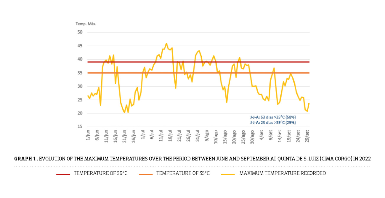 Sogevinus_HARVEST_Report_2022_Graficos_temperature_EN.jpg