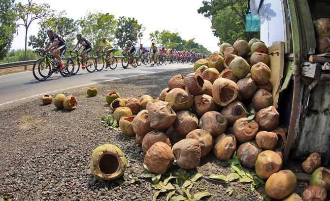 Empty coconut husks on the side of the road at the Tour de Langkawi
