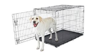 Animaze 1-Door Folding Large Dog Crate