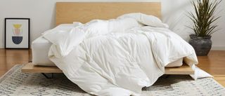 The image shows the Brooklinen All Season Down Comforter on top of a wooden bed foundation in a neutrally decorated bedroom