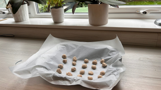 The dough rolled into treat sized bowls on a baking tray and parchment paper for the homemade cat treats