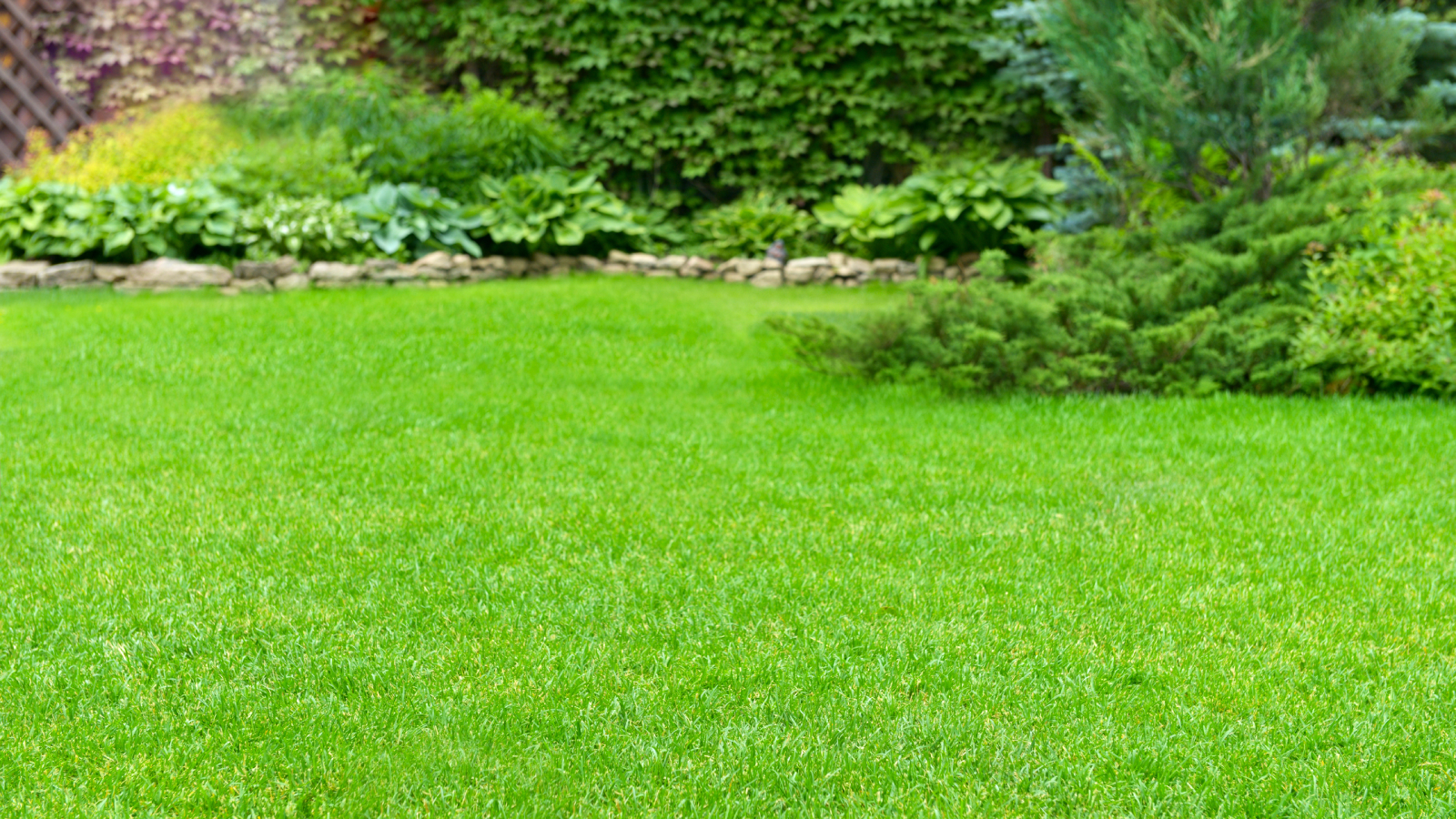Green lawn with landscaping 