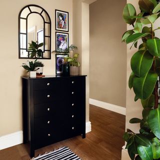 Black drawers with hanging mirror and art prints, decorated with houseplants
