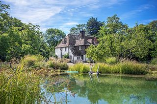 What you need to know about having a natural swimming pool in your garden