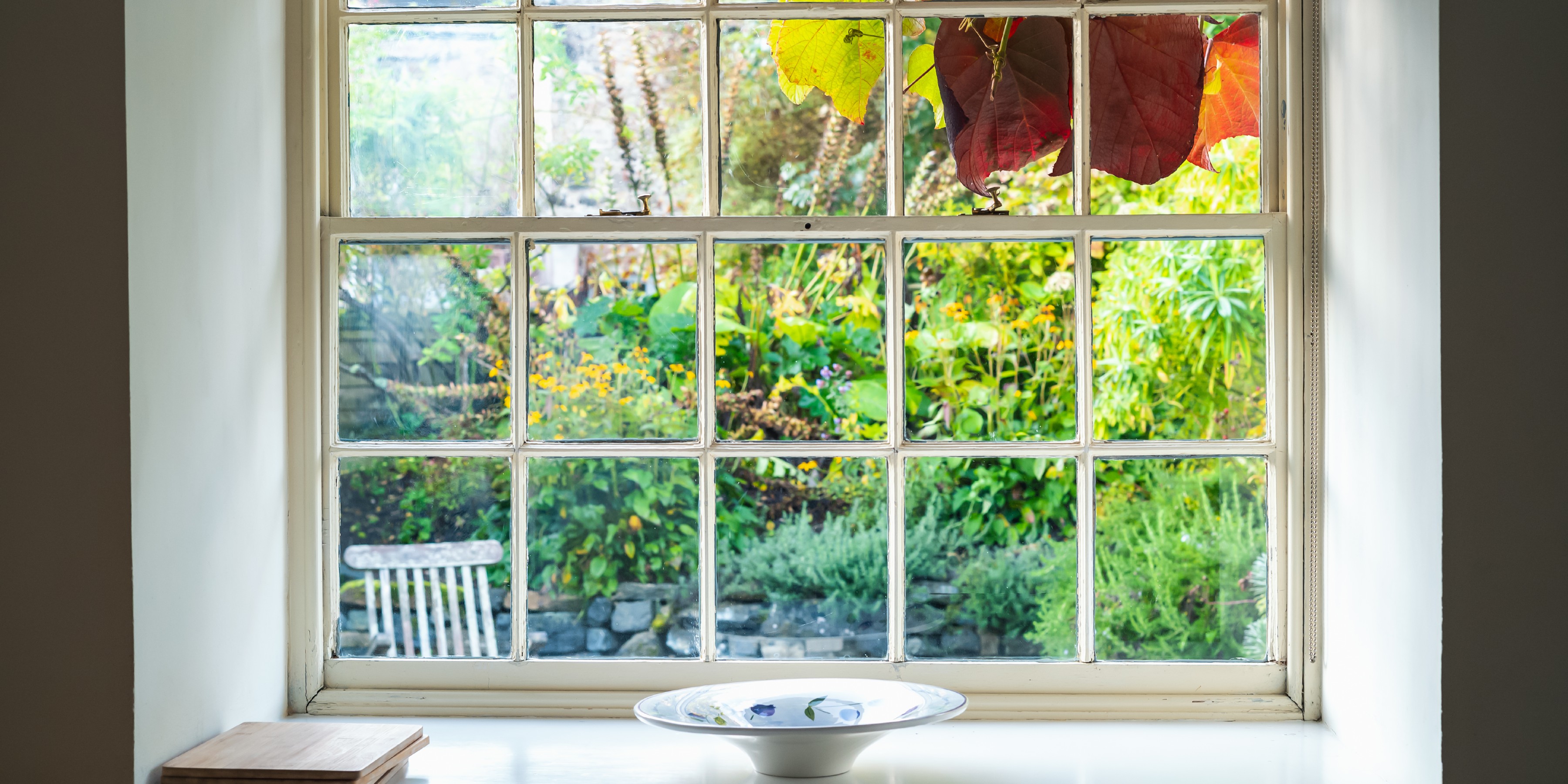 View out of a sash window to a mature garden