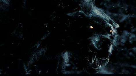 300 (2006)