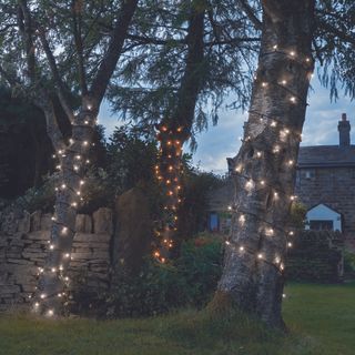 string outdoor with tree light and grassland