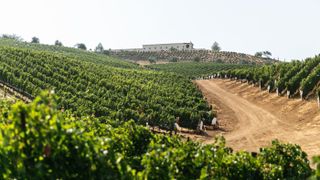 Daou Vineyards is like Tuscany in the hills of California