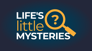 Life's Little Mysteries logo with a question mark in a magnifying glass