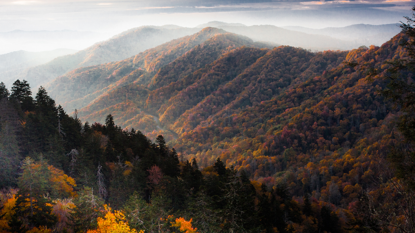 Great Smoky Mountains 