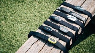 best heart rate monitors