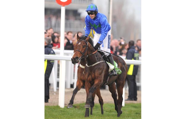 2011 Cheltenham champion hurdle