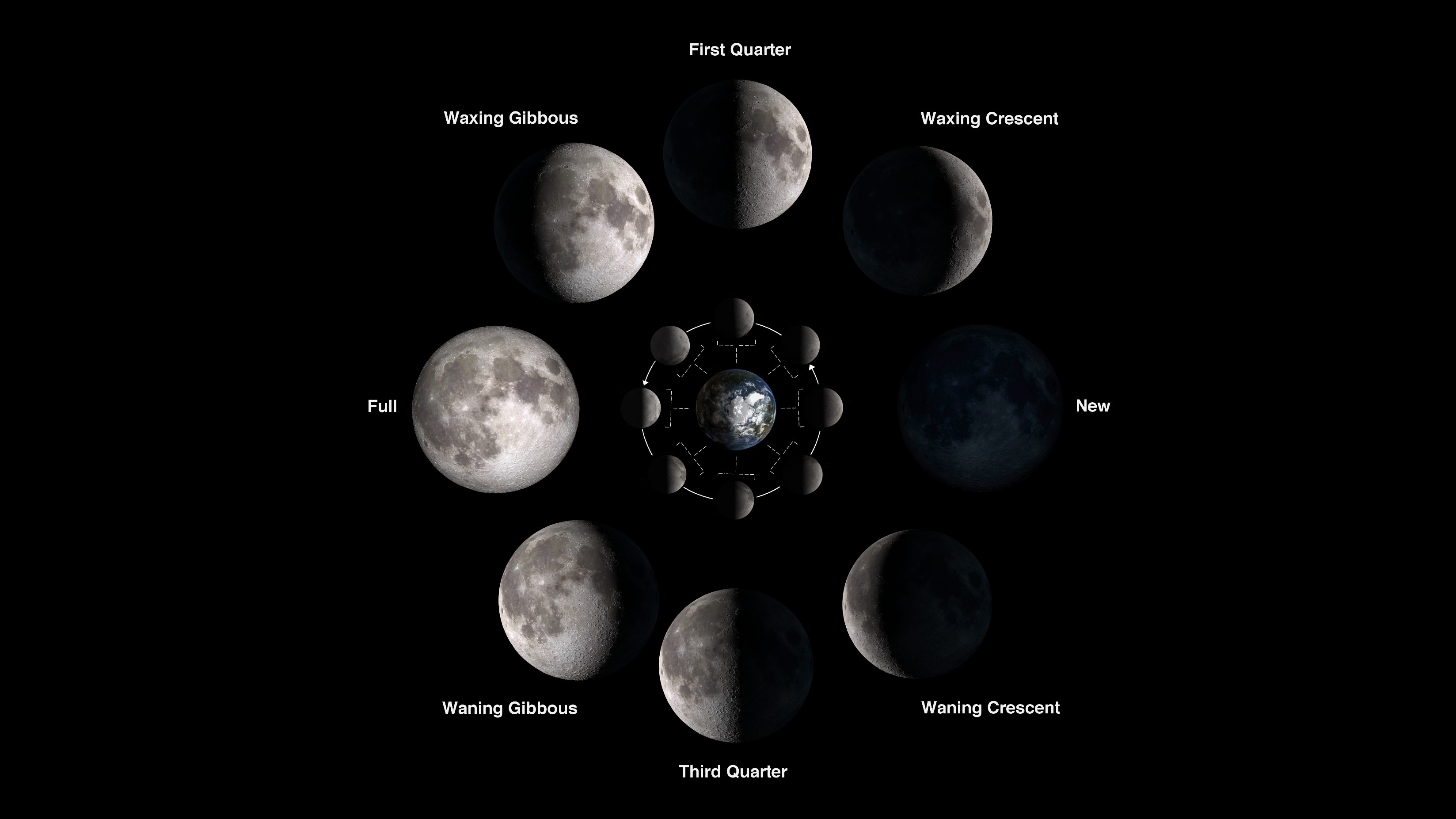 A diagram showing the phases of the moon