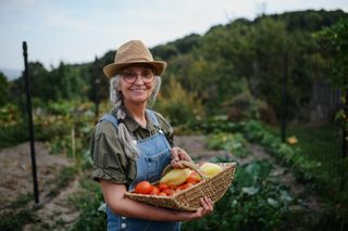 https://www.gettyimages.com/detail/photo/happy-senior-woman-holding-basket-with-homegrown-royalty-free-image/1371098069?phrase=active%20seniors&searchscope=image%2Cfilm&adppopup=true#:~:text=Cheerful%20senior%20woman%20showing%20organic%20ripe%20vegetables%20from%20home%20garden%20in%20summer.