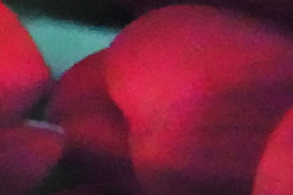 ISO 3200 crop