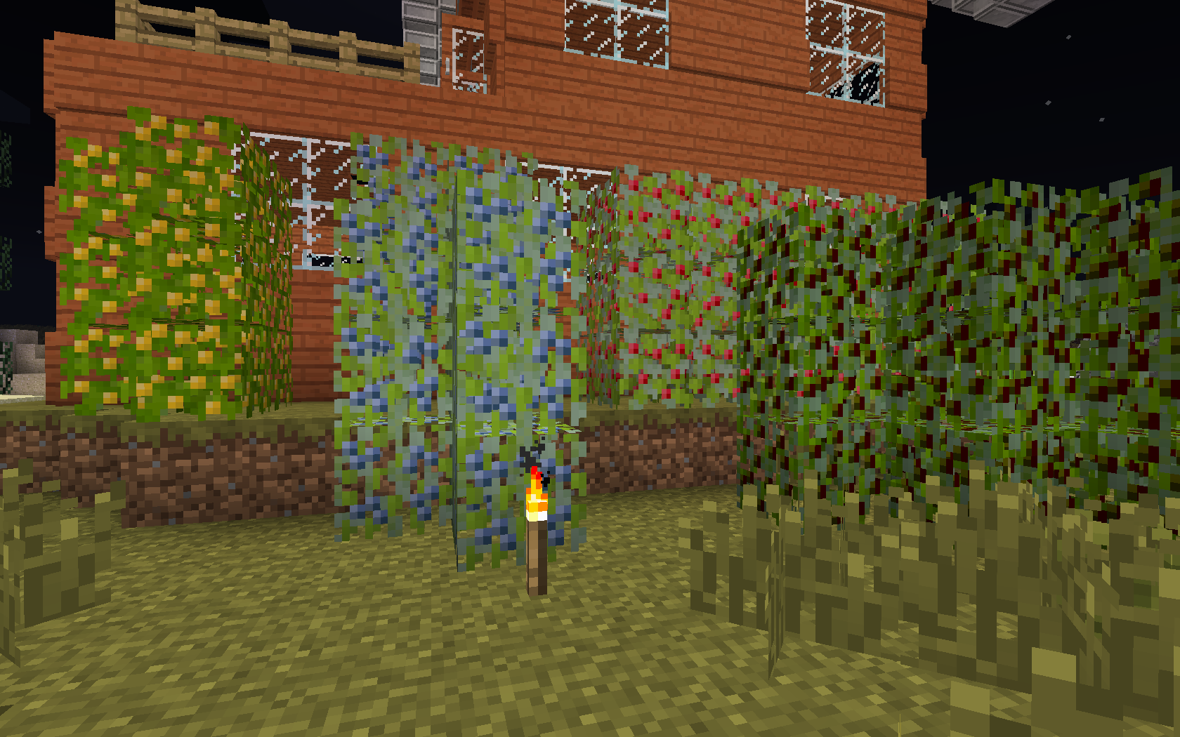 Minecraft mods - Natura - Berry bushes growing outside a Minecraft house