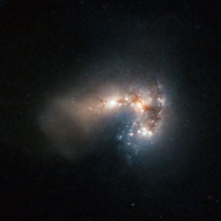 The Haro 11 galaxy. Like Tololo 0440-381, this nearby galaxy gives off a type of radiation that scientists think resembles the characteristics of the earliest stars in the universe. Haro 11 is about 300 million light-years away in the constellation Sculptor.