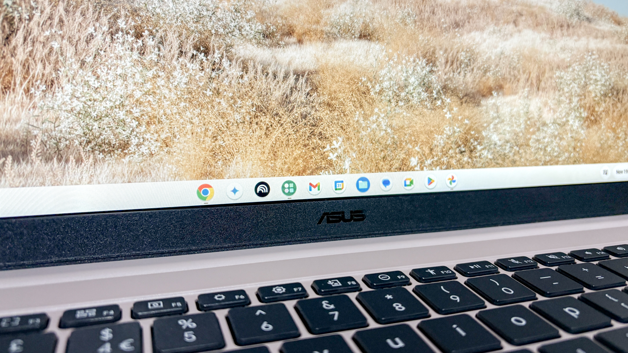 Asus Chromebook CX15