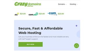 An image of CrazyDomain's home page