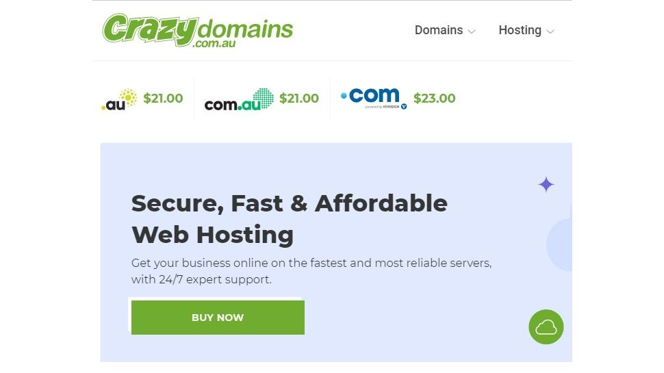 An image of CrazyDomain&#039;s home page