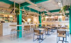 Wide shot of restaurant with green accents