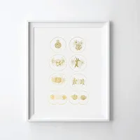 Cell Division Mitosis Art: $20 at Amazon