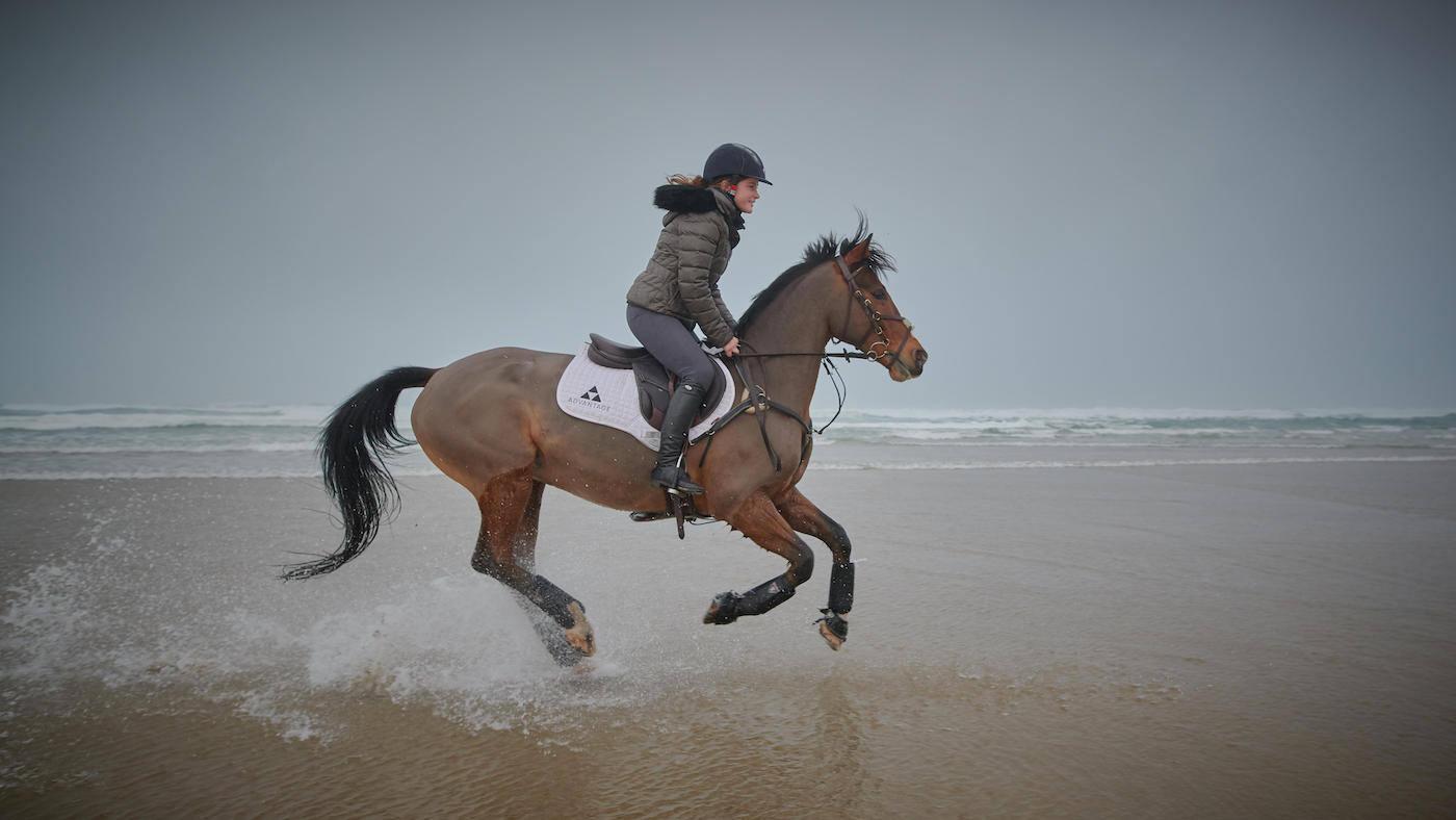 Pony cantering on beach: part of Bringing show horse back into work