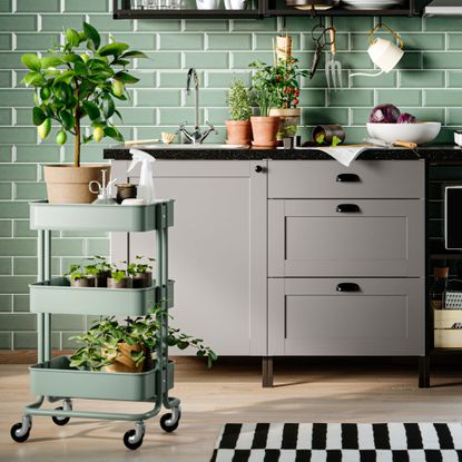 IKEA RASKOG trolley in light turqouise, in a green kitchen room with plants
