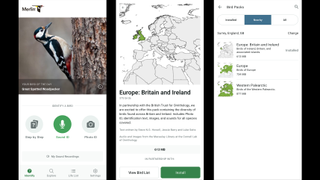 Merlin Bird ID app UI