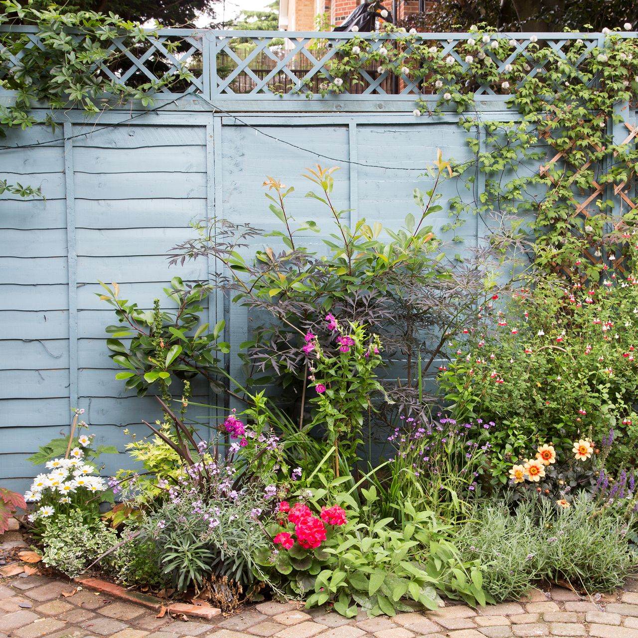 7 fence colours that make a garden look bigger | Ideal Home