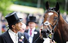 Frankel film