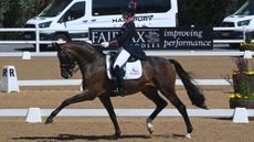Charlotte Dujardin riding Brave Heart II in the grand prix at Hartpury Festival of Dressage