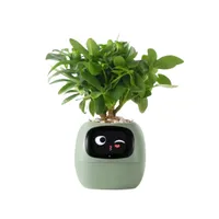 $159 (about £125), plantsrobot.com