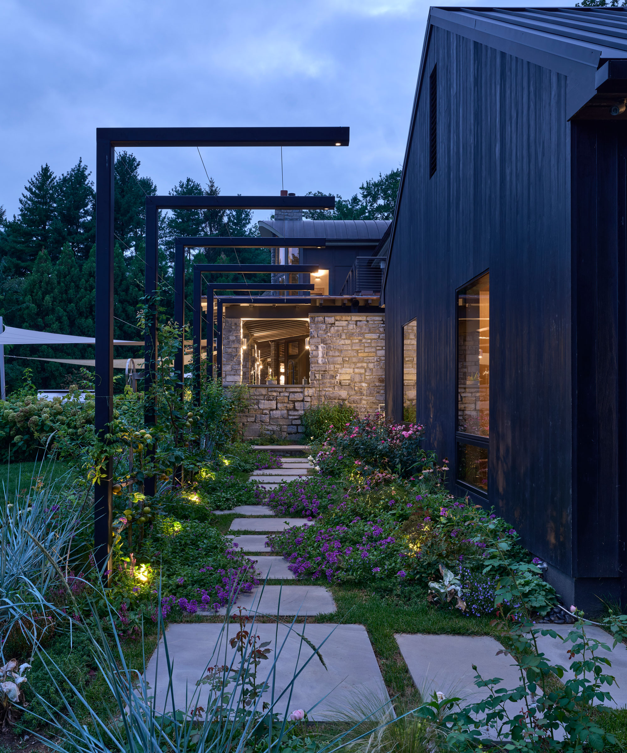 modern garden path design with pavers set in grass bordered by flowers, plants and ornamental grasses, together with low level path lighting