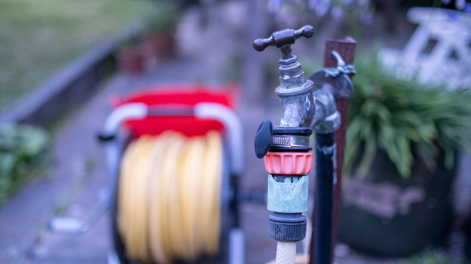 Garden tap and hosepipe on 17th August 2022 in St Dogmaels, Pembrokeshire, Wales